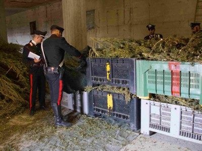 carabinieri-sequestro-marijuana