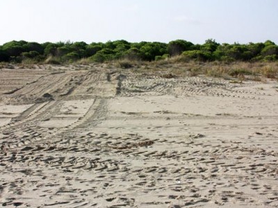duna spiaggetta ott2014 3