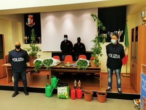 Polizia scopre piantagione di marijuana, arrestati due materani
