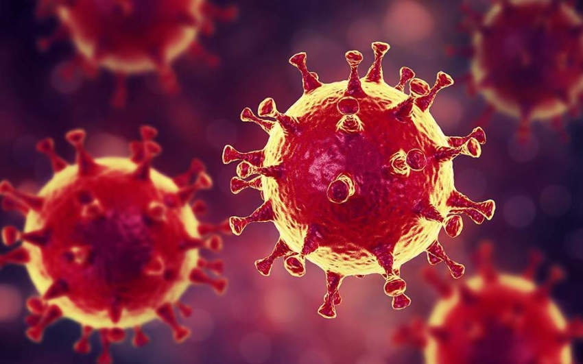 Coronavirus in Basilicata: 44 nuovi casi, 32 guarigioni, una di Pisticci