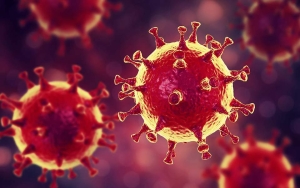 Coronavirus in Basilicata: diminuiscono ancora i nuovi contagi