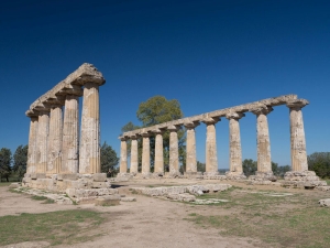 La proposta di Volt Basilicata: la Magna Grecia diventi Patrimonio Unesco