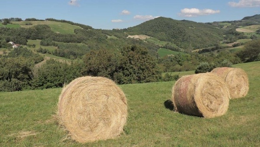 Lettera aperta del Coordinamento Agricoltori Basilicata a chi lavora e vive in questa terra