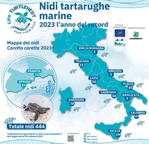 Tartarughe marine, nidi anche in Basilicata