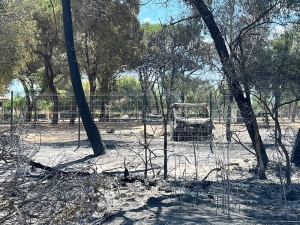 Incendio Metaponto Lido: si torna alla normalità con la revoca dell’ordinanza sindacale