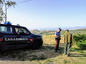 Battuta di caccia illegale. Colpo vagante ferisce cacciatore 59enne. I carabinieri denunciano 5 persone