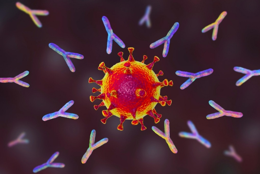 Coronavirus in Basilicata: oltre 1000 i nuovi positivi, una trentina a Pisticci