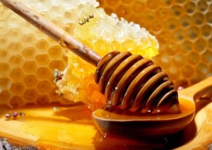 Contributo apicultura 2023-2024: pubblicato il bando