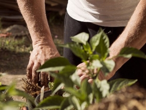 La crisi economica che investe l'agricoltura si supera solo con una grande riforma agraria