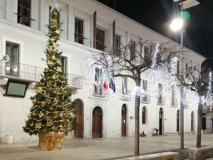 Feste di Natale 2021: dopo 2 anni torna il tradizionale albero naturale in piazza Umberto I°