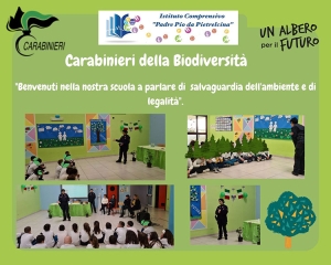 Progetto “Un albero per il Futuro”: alunni del plesso Monreale incontrano i Carabinieri. Foto