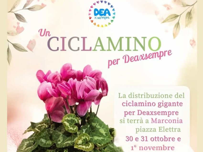 Un Ciclamino per Deaxsempre: a Marconia tre giornate dedicate alla solidarietà