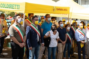 Coldiretti: in piazza a Potenza per dire stop all'invasione di cinghiali