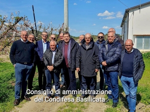 Condifesa Basilicata: apertura della campagna assicurativa 2024