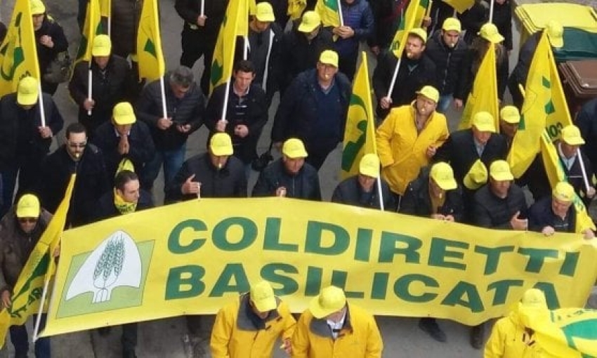 Coldiretti Basilicata: al via bando per sostegni agli agricoltori colpiti da effetti guerra