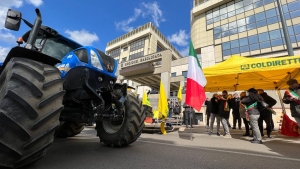 Rincari: Coldiretti Basilicata si appella al Consiglio Regionale