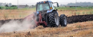 Agricoltura: sostegno straordinario per 7 milioni di euro