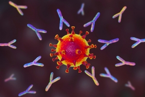 Coronavirus in Basilicata, 2 nuovi casi a Pisticci