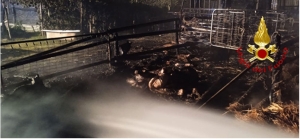 Incendio brucia fattoria didattica a Montalbano
