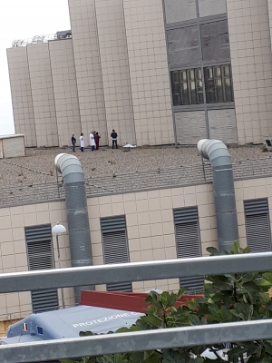 Precipita dal terzo piano dell&#039;ospedale. Probabile suicidio di un anziano a Matera
