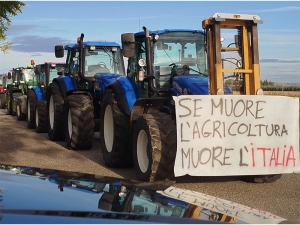 Il risveglio delle comunità lucane