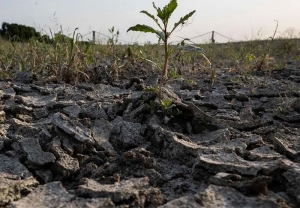 Tavolo Verde su siccità: non basta il riconoscimento dello stato di calamità