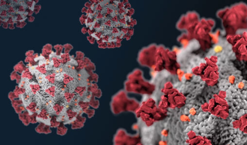 Coronavirus in Basilicata: aumentano i casi, diminuiscono i ricoveri