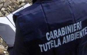 Smaltimento illecito rifiuti speciali: 5 arresti nell’operazione dei Carabinieri Tutela Ambientale