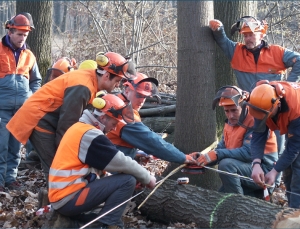 Forestazione: noi ci siamo, ora tocca alla Giunta Bardi