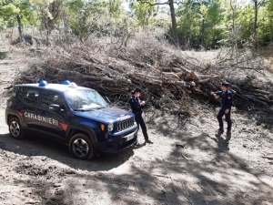 I Carabinieri Forestali di Stigliano, Tursi e Rotondella sequestrano un’area boscata comunale
