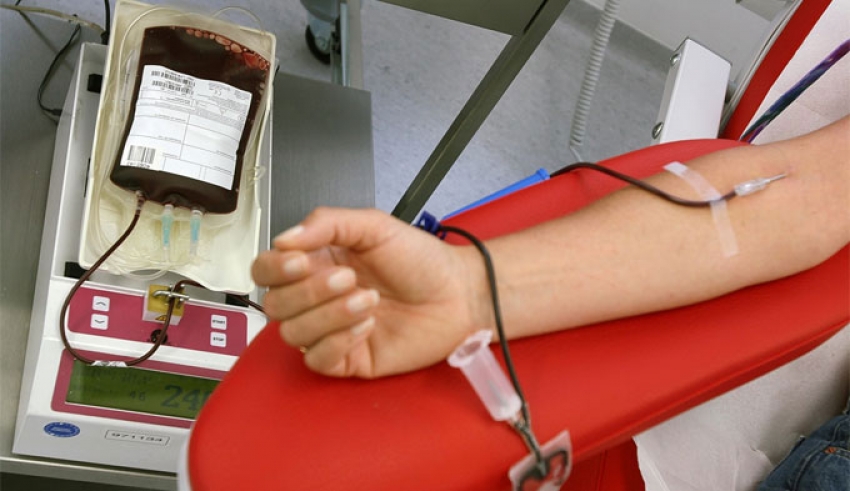 Green pass: Avis Basilicata &quot;nessun obbligo per i donatori di sangue&quot;