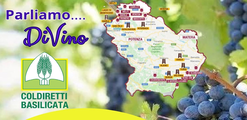 Coldiretti presenta il distretto agroalimentare di qualità del vino di Basilicata