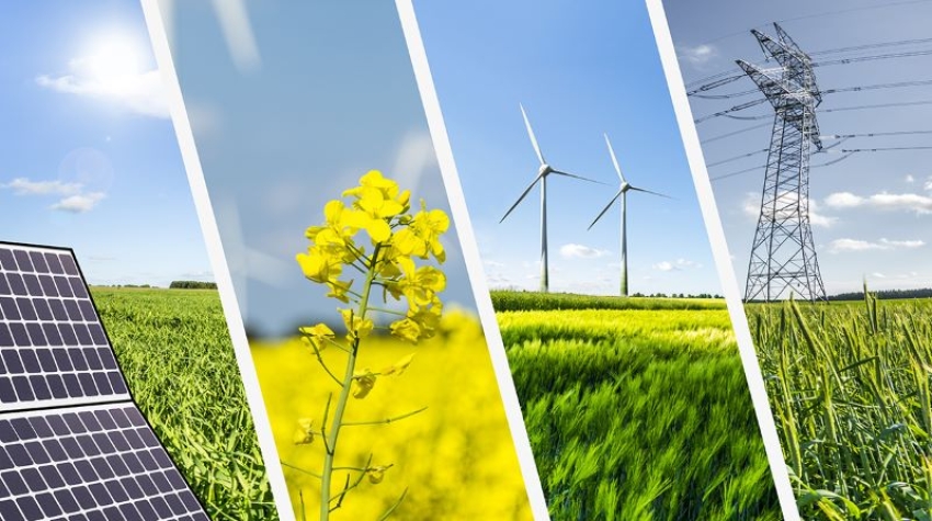 Energia da fonti alternative, approvato bando per imprese agricole