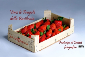 Il concorso fotografico di Op Zuccarella per vincere le fragole della Basilicata