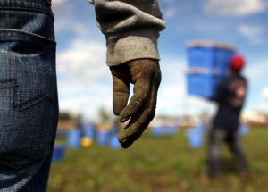 Lavoratori stagionali: “Diritti umani violati, vergogna senza fine”