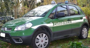 Cacciano con munizioni non consentite, carabinieri forestali sequestrano armi