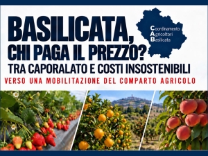 Caporalato e costi alle stelle: l’agricoltura lucana discute e cerca soluzioni